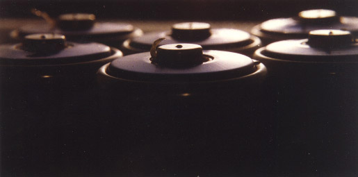 Analog_pics_0047