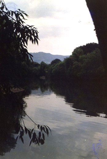 Analog_pics_0067