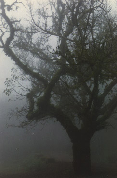 Analog_pics_0079