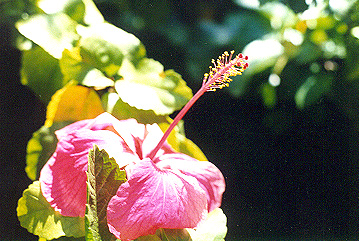 Analog_pics_0103