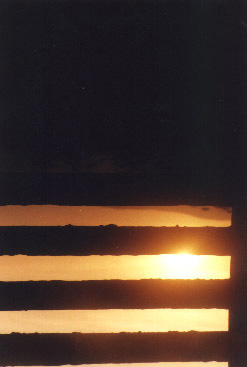 Analog_pics_0130